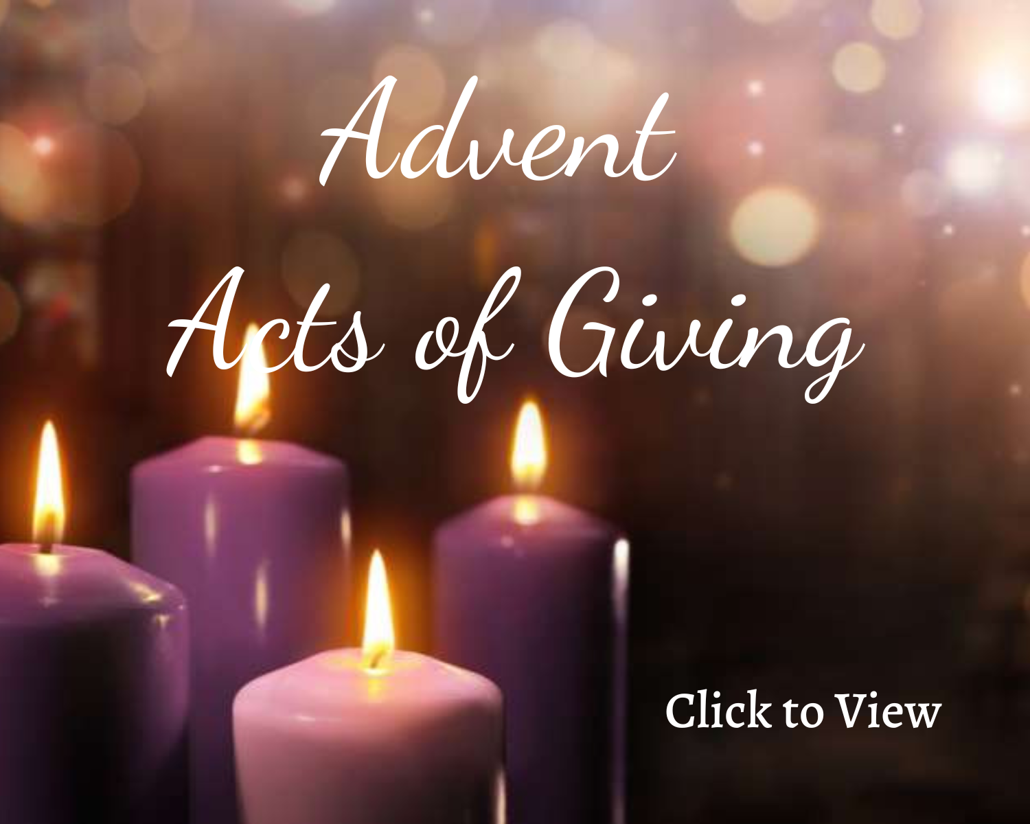 Advent At The Cathedral - Cathedral Of St. John Berchmans